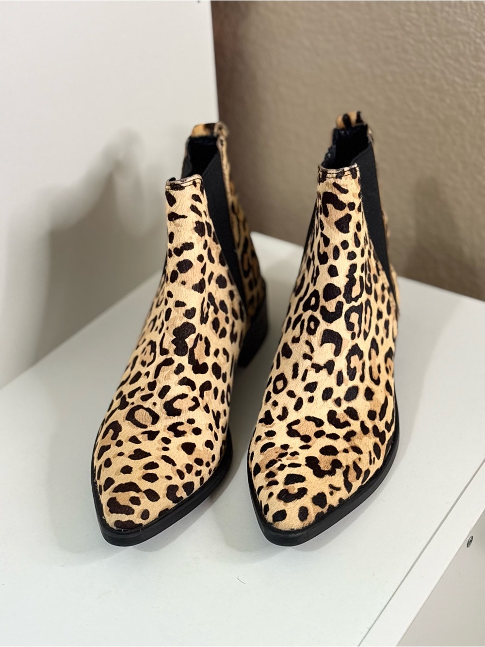 Steve Madden Leopard Print Chelsea Ankle Boots - Beige/Black
